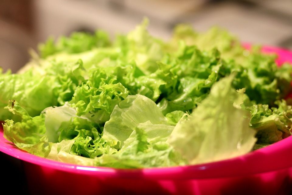 Salate - Insalata - Salad