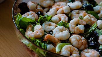 Hladna predjela - Kalte Vorspeisen - Antipasti freddi - Cold Appetizers