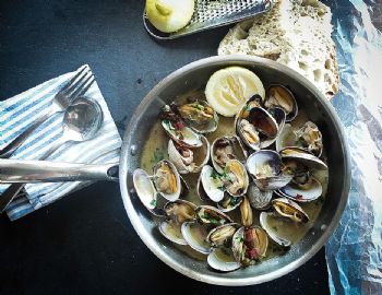 Rakovi i školjke - Schalentiere und muscheln - Crostacei e frutti di mare - Crabs and seashells