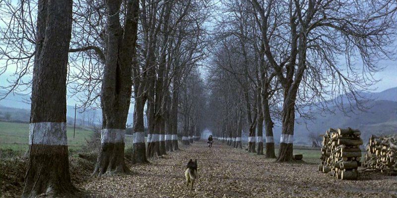 Filmske mutacije: u Art-kinu pogledajte kultne filmove Ericea i Hellmana