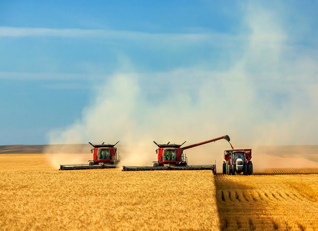 Vlada je usvojila program Pojedinačna jamstva za ruralni razvoj
