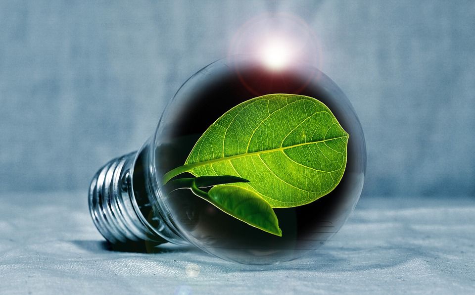 Seminar: Alternativni, obnovljivi, održivi, izvori energije i održivi razvoj; benefiti s nula otpada